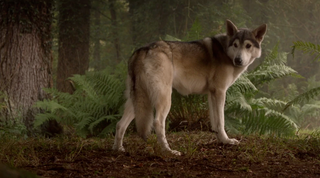 Screenshot: Game Of Thrones